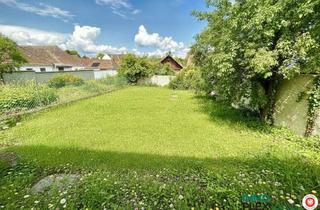 Einfamilienhaus kaufen in 2074 Kleinhöflein, In traumhafter Ruhelage gelegenes Einfamilienhaus mit Weinkeller und Schuppen zu verkaufen!
