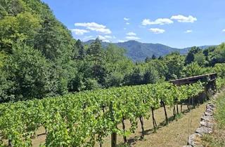 Grundstück zu kaufen in 3610 Weißenkirchen in der Wachau, Freizeitgrundstück - Weingarten mit Gartenhütte