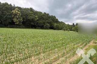 Grundstück zu kaufen in 8283 Bierbaum an der Safen, Ruhig gelegene Baugrundstücke in der Thermenregion für Häuslbauer - Bauträger - Zweitwohnsitz