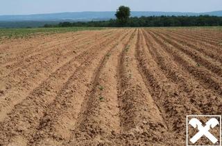 Gewerbeimmobilie kaufen in 9321 Kappel am Krappfeld, Ackerfläche im Krappfeld