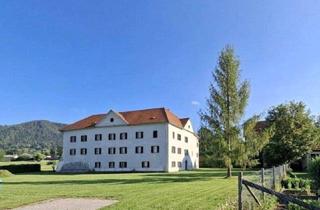 Haus kaufen in 8642 Sankt Lorenzen im Mürztal, Geschichtsträchtige Schlossanlage mit historischer, beeindruckender Substanz