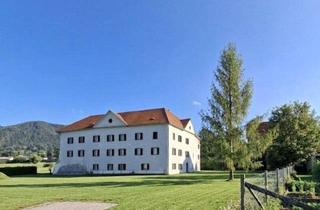 Haus kaufen in 8642 Sankt Lorenzen im Mürztal, Geschichtsträchtige Schlossanlage mit Historischer, Beeindruckender Substanz