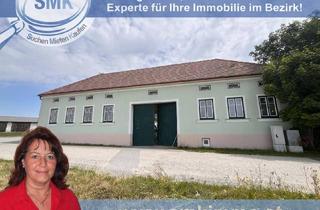 Bauernhäuser zu kaufen in 3823 Weikertschlag an der Thaya, Solides Bauernhaus mit Innenhof in sonniger Randlage!