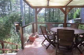 Haus kaufen in 2551 Enzesfeld-Lindabrunn, Wohnen wie im Urlaub 2-Zimmer Bungalow in Siedlung im Föhrenwald
