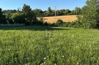 Grundstück zu kaufen in 4600 Wels, TRAUMHAFTES BAUGRUNDSTÜCK MIT BAUBEWILLIGUNG UND EINREICHPLAN