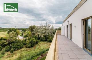 Wohnung kaufen in Gerasdorfer Straße, 1210 Wien, Hervorragende Raumaufteilungen im begehrte Niedrig-Energie-Standard – Grün – grüner – Hirschfeld