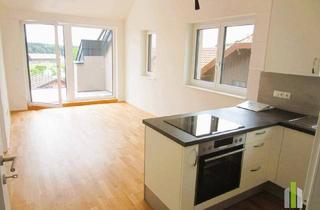 Wohnung mieten in 5165 Berndorf bei Salzburg, Neuwertige 2 Zi Dachgeschoß-Wohnung mit Terrasse OÖ!!