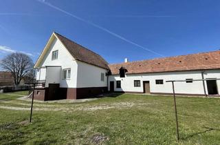 Haus kaufen in Bahnhofstraße, 7022 Schattendorf, EHEMALIGES GEHÖFT MIT GROSSEM GARTEN, SCHEUNE UND NEBENGEBÄUDEN/GARAGEN!