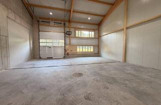 Gewerbeimmobilie mieten in 3100 Sankt Pölten, Moderne Halle in St. Pölten I 284,23 m² I Erstbezug I vielseitig nutzbar I eigene Stellplätze