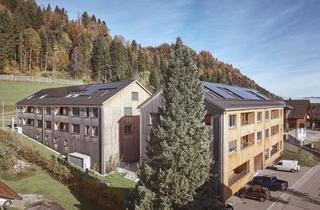 Immobilie mieten in Dorf 150B B01, 6932 Langen bei Bregenz, Gewerbe-/Büro-/Verkaufsfläche direkt im Zentrum