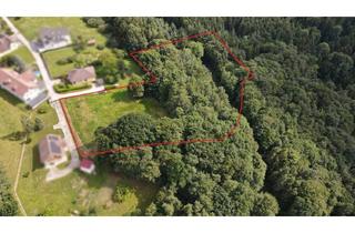 Grundstück zu kaufen in 8274 Oberbuch, Idyllisches Grundstück am Ende einer Sackgasse – sonniger Bauplatz mit eigenem Wald