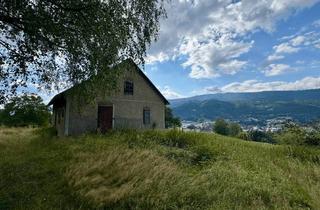 Gewerbeimmobilie mieten in 8661 Wartberg im Mürztal, Aussteiger aufgepasst! Landwirtschaftliche Wiesenfläche mit stark sanierungsbedürftigen Haus zu verpachten