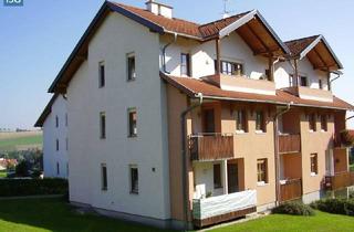Wohnung mieten in Muckenau, 4950 Altheim, Objekt 294: 2-Zimmerwohnung in 4950 Altheim, Muckenau 5, Top 5