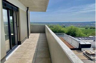 Wohnung mieten in Bründlgraben 47A, 3500 Krems an der Donau, Neubau Erstbezug Schöne Drei Zimmer Wohnung mit Balkon und Süd-Ost Fernblick