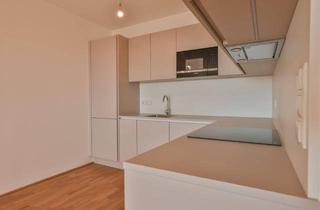 Wohnung mieten in Bründlgraben 45A, 3500 Krems an der Donau, Gemütliche Dreizimmerwohnung mit Terrasse Neubau Erstbezug