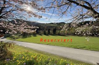 Grundstück zu kaufen in 2833 Bromberg, Bromberg am Beginn der Buckligen Welt: Sonniger Baugrund in leichter Hanglage!