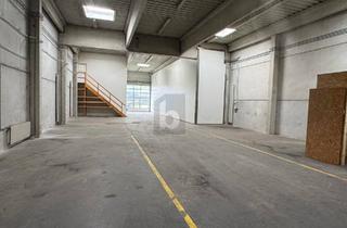 Gewerbeimmobilie mieten in 2100 Korneuburg, PERFEKT GELEGENE LAGERHALLE MIT BÜRORÄUMLICHKEITEN