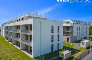 Wohnung mieten in Furtgasse 10/2/2, 3250 Wieselburg, Geförderte 2-Zimmer Gartenwohnung in Miete mit Kaufoption | ca. 58 m² | Erdgeschoss | Terrasse
