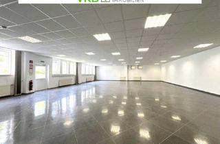 Büro zu mieten in 4052 Ansfelden, Top-Standort in Ansfelden – 250m² Gewerbefläche für Fitness, Yoga, Therapie & mehr