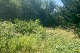Grundstück zu kaufen in Bergzeile, 1170 Wien, BAUGRUNDSTÜCK IN GRÜNRUHELAGE AN DER GRENZE ZU DÖBLING