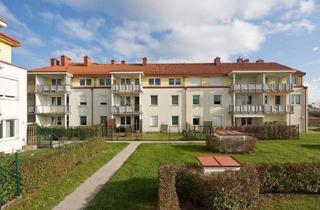 Wohnung mieten in Karl Schmid-Straße 13, 3390 Melk, MELK XVI/1, geförderte Mietwohnung mit Kaufoption, TOP 2/07, 1000/00008580/00001207