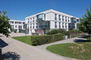 Wohnung mieten in Bachstraße 20/1-4, 3372 Blindenmarkt, BLINDENMARKT I/1, geförderte Mietwohnung mit Kaufoption, H4/ 1.OG/ TOP 6, 1000/00008390/00001406