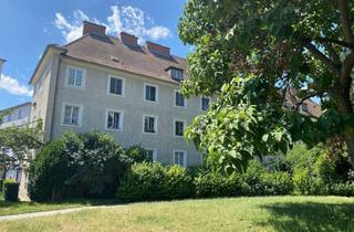 Wohnung mieten in Wachaustraße 2/1, 3500 Krems an der Donau, Wachaustraße 2/1