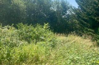 Grundstück zu kaufen in Bergzeile, 1170 Wien, BAUGRUNDSTÜCK IN GRÜNRUHELAGE AN DER GRENZE ZU DÖBLING