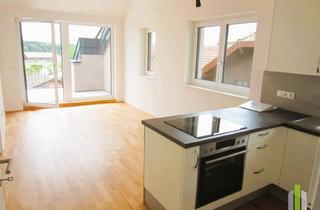 Wohnung mieten in 5165 Berndorf bei Salzburg, Neuwertige 2 Zi Dachgeschoß-Wohnung mit Terrasse Oö