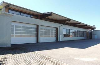 Lager mieten in 4784 Schardenberg, Lagerhalle/Produktionshalle mit Ca. 1.117M² in Schardenberg zu Mieten