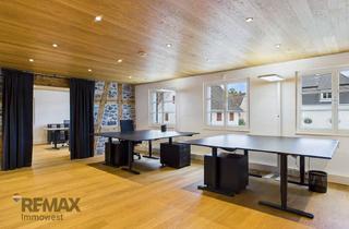 Büro zu mieten in Mondscheingasse 8/B 3, 6845 Hohenems, Think Big - Start Classy: Bürofläche mit Weitblick