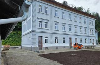 Anlageobjekt in Bahnhof, 8900 Selzthal, Teil Vermietet & Fast Fertig - Zinshaus-Projekt in Selzthal
