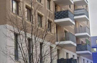 Immobilie mieten in Schenk Danzinger Gasse 3/1, 1220 Wien, Vielseitiges Geschäftslokal mit 183 m² in der Seestadt Aspern - Geförderte Miete