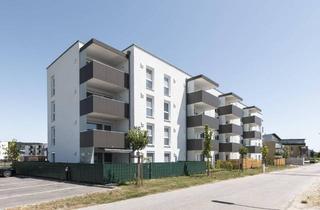 Wohnung mieten in 4320 Perg, Moderne 3-Zi-Wohnung mit Südbalkon & Garage in Perg – Miete €931,42