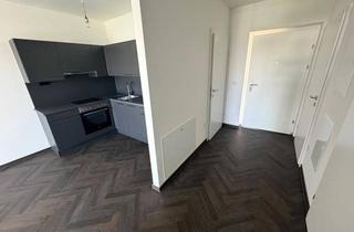 Wohnung mieten in Packer Straße 92, 8501 Lieboch, Elegante, neuwertige 2 Zimmer Mietwohnung (48,59m²) mit Balkon und Tiefgarage in Lieboch
