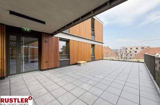 Wohnung mieten in 2340 Mödling, WOHNEN mit Herz & Komfort
