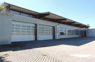 Gewerbeimmobilie mieten in 4784 Schardenberg, Lagerhalle/Produktionshalle mit ca. 1.117m² in Schardenberg zu mieten