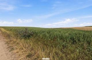Grundstück zu kaufen in 2011 Sierndorf, Landwirtschaftliche Fläche mit 7026 m² in Untermallebern zu verkaufen!