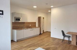 Wohnung mieten in 4770 Schärdingerau, Möbliertes 1-Zimmer-Apartment mit Loggia € 560,- inkl. BK, HK, Strom u. Wlan