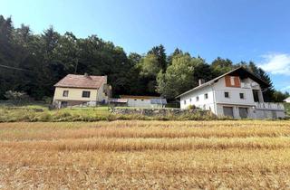 Haus kaufen in 8083 Sankt Stefan im Rosental, Ein Anwesen voller Möglichkeiten – Zwei Häuser auf großzügigem Grund und vielseitigen Nutzungsmöglichkeiten