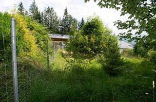 Grundstück zu kaufen in 6393 Sankt Ulrich am Pillersee, Baugrundstück in sehr ruhiger Lage