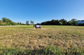 Grundstück zu kaufen in 2722 Weikersdorf am Steinfelde, 2169 m² großes Grundstück: Ideal zur Verwirklichung Ihres Traumhauses!