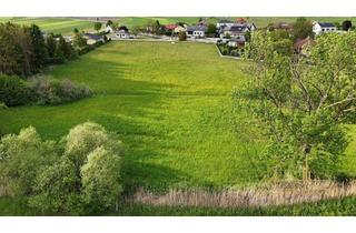 Grundstück zu kaufen in 2722 Weikersdorf am Steinfelde, Nahe zu Wiener Neustadt: ca. 2939 m² großes Grundstück in idyllischer Gemeinde