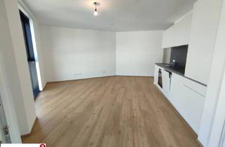 Wohnung mieten in 4020 Linz, Über den Dächern von Linz, Neu, Modern, Zentral