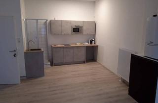 Wohnung mieten in Kerschbaumergasse, 3430 Tulln an der Donau, Vollmöblierte Erdgeschoss-Wohnung 30m² ab Oktober 2026