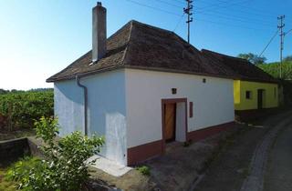 Haus kaufen in Obritz Kellergasse, 2061 Obritz, Privatverkauf: Charmantes, saniertes Presshaus mit traumhaftem Gewölbekeller und Übernachtungskomfort - in der Kellergasse von Obritz