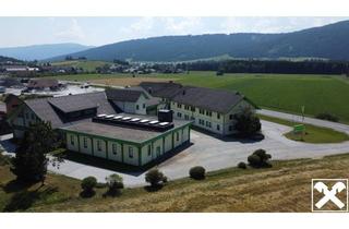 Büro zu mieten in 5571 Mariapfarr, Perfekte Produktionshallen für Ihren Unternehmenserfolg
