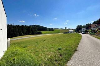 Grundstück zu kaufen in 4240 Waldburg, Sonniges Baugrundstück in der Nähe von Freistadt II ohne Bauzwang II mit Fernblick