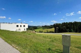 Grundstück zu kaufen in 4240 Waldburg, Sonniges Baugrundstück in der Nähe von Freistadt II BEREITS VERKAUFT