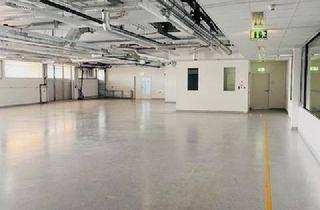 Büro zu mieten in 8380 Jennersdorf, Hallenfläche inklusive Bürotrakt im Technologiezentrum Jennersdorf